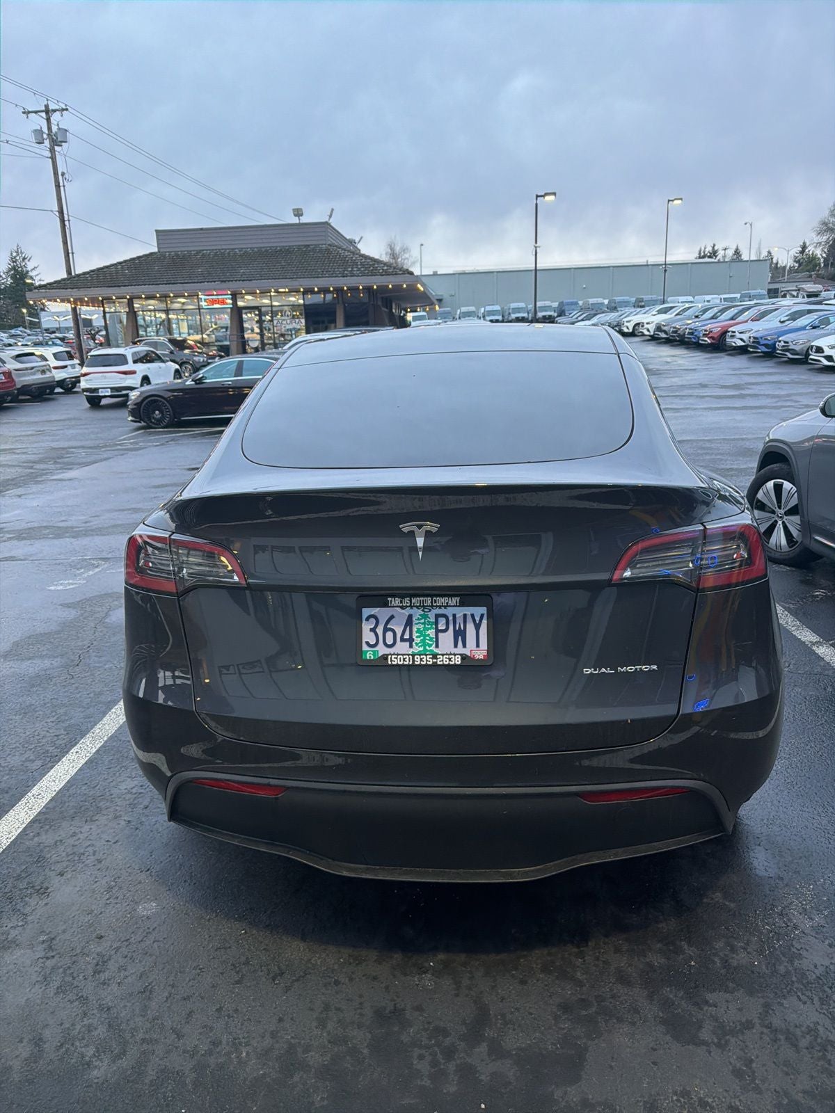 2024 Tesla Model Y Long Range