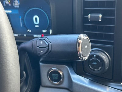 2025 Ford F-450SD Platinum DRW