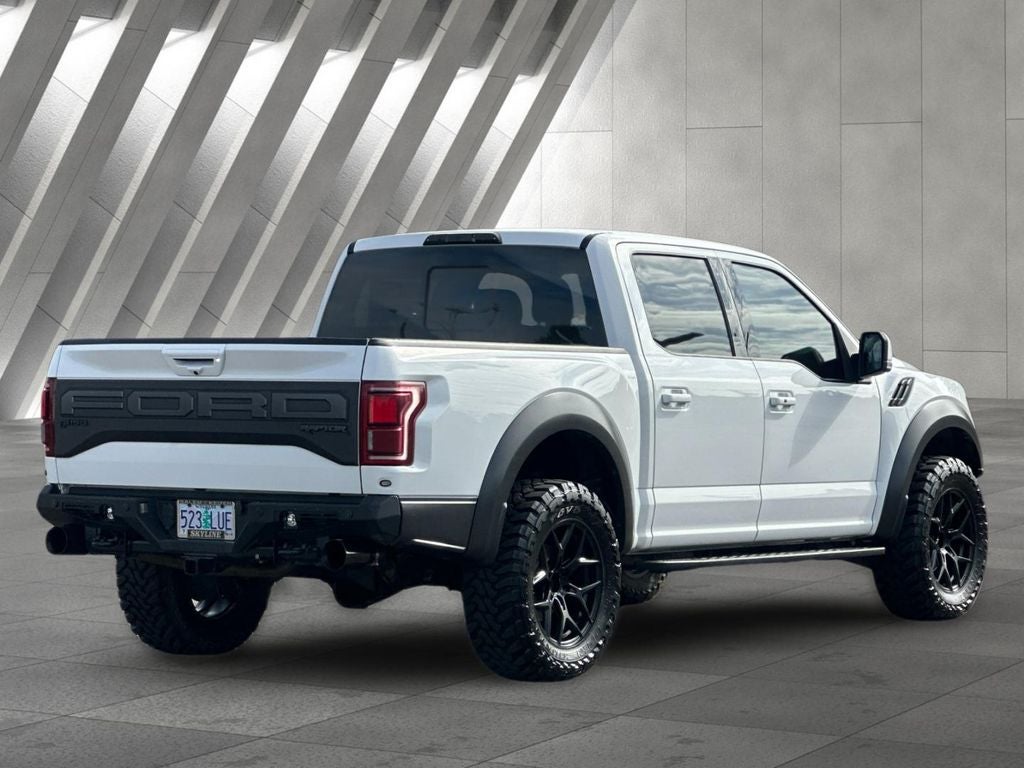 2019 Ford F-150 Raptor