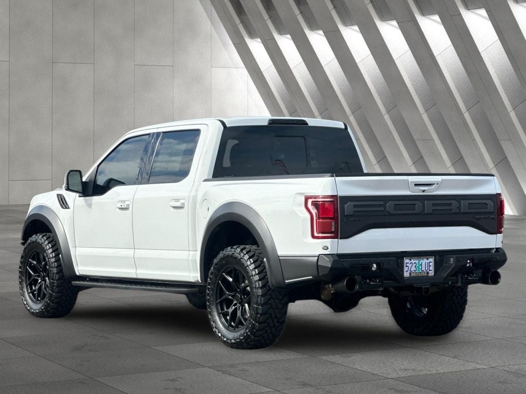 2019 Ford F-150 Raptor